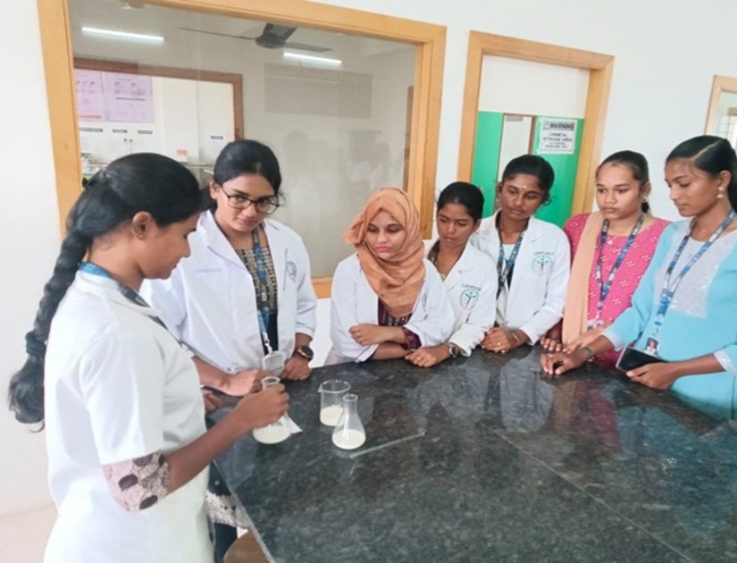 Food Safety and Adulteration: Practical Strategies for Identification and Mitigation